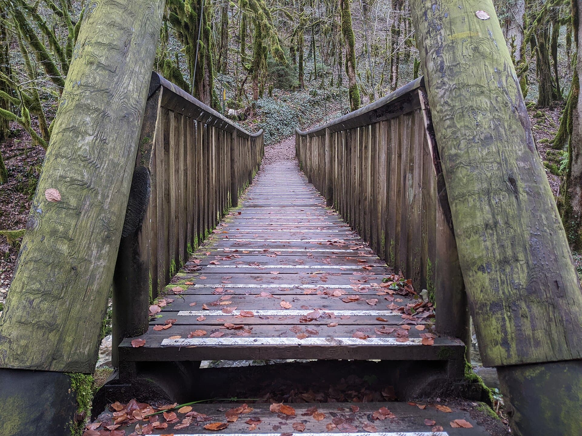 Saint-Claude - Cascade des Combes, passerelle 1 (nov 2022)