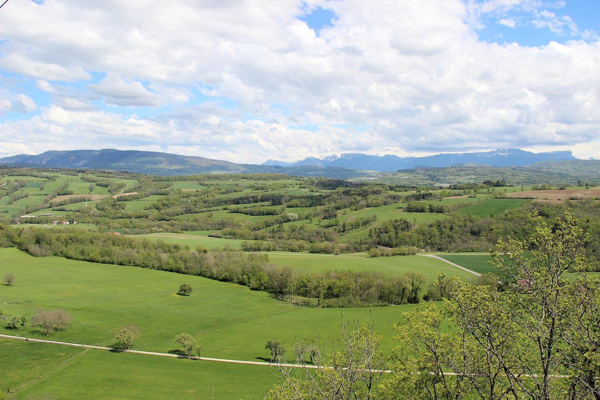 Scenic view near Chaumont - panoramio