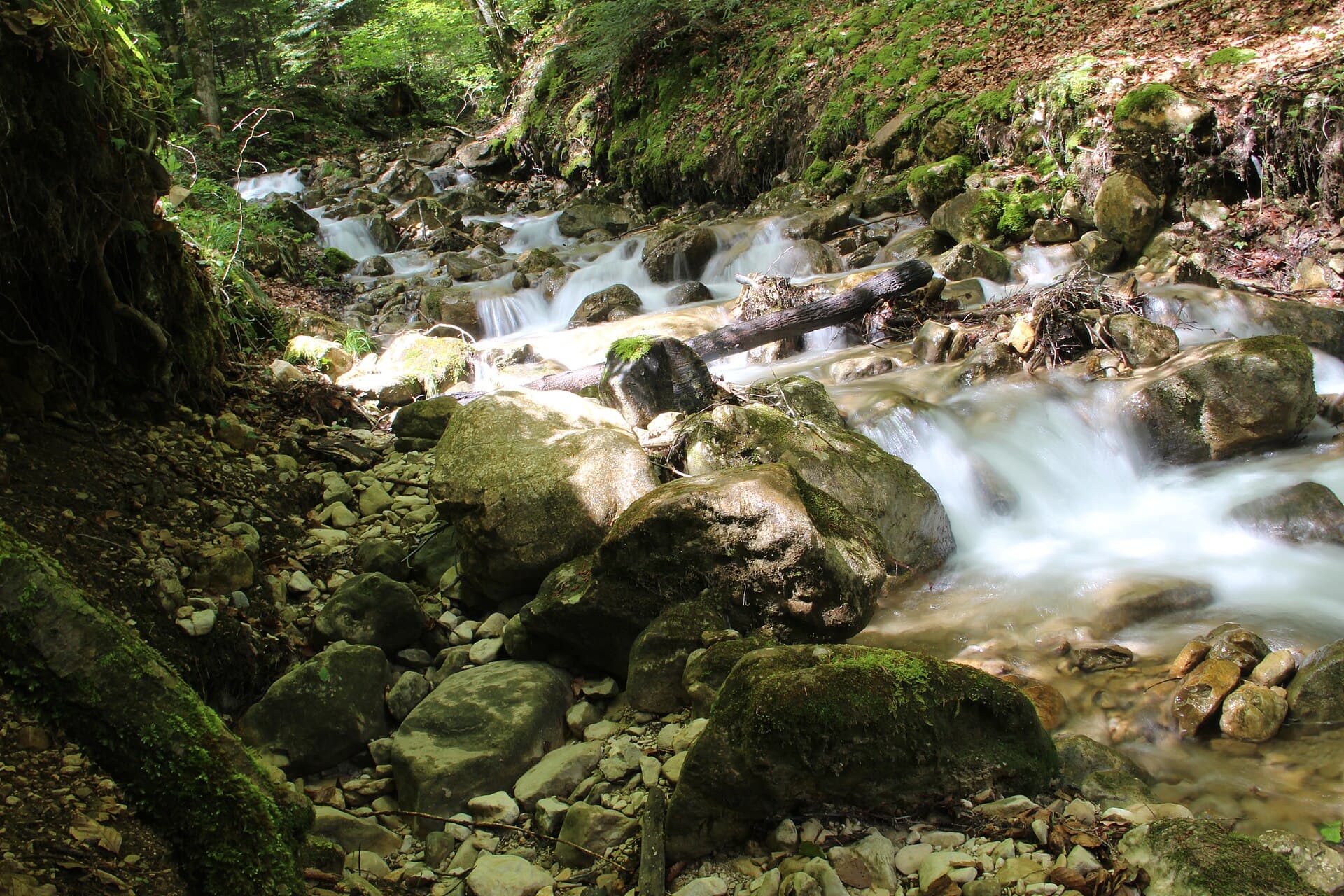 Confluent of the Grand Journans - panoramio (2)