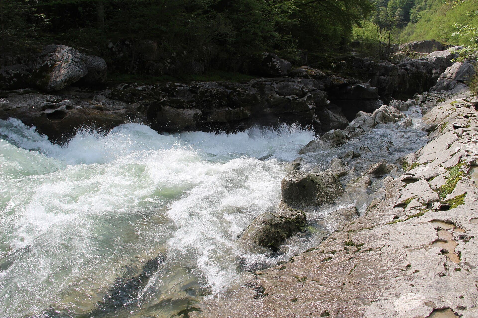 Pertes de la Valserine - panoramio (18)