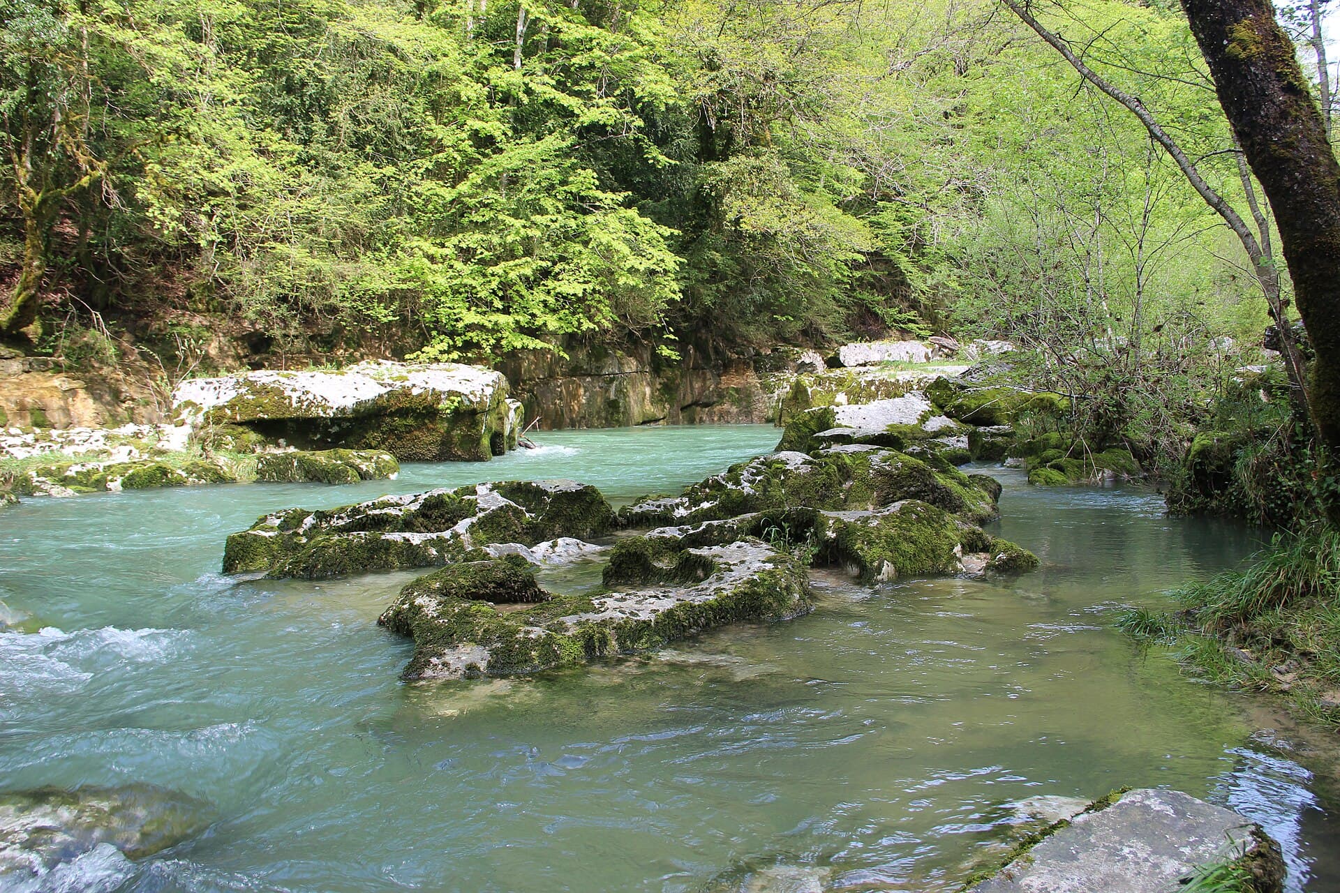 Pertes de la Valserine - panoramio