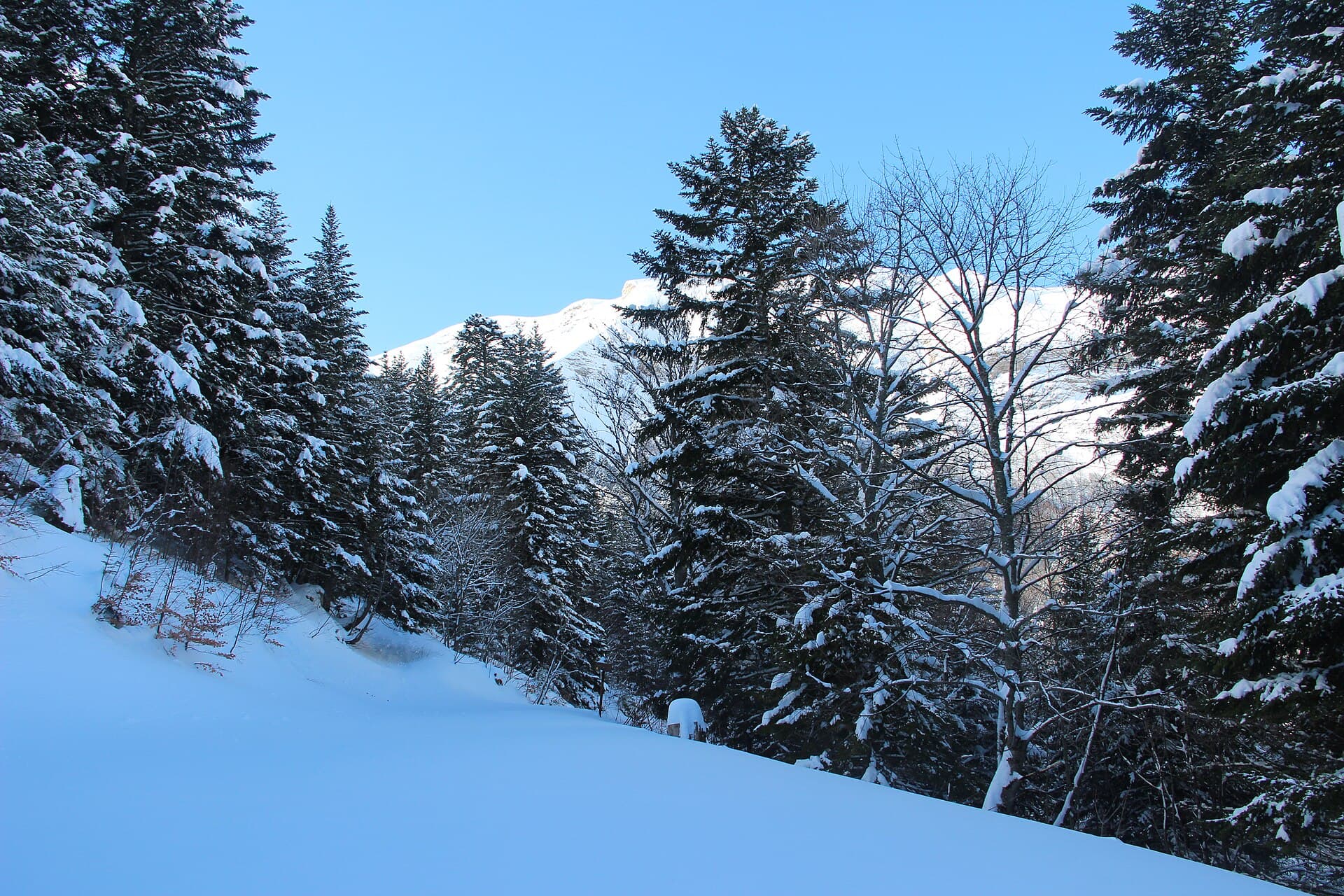 Chemin Neuf in Winter - panoramio (1)