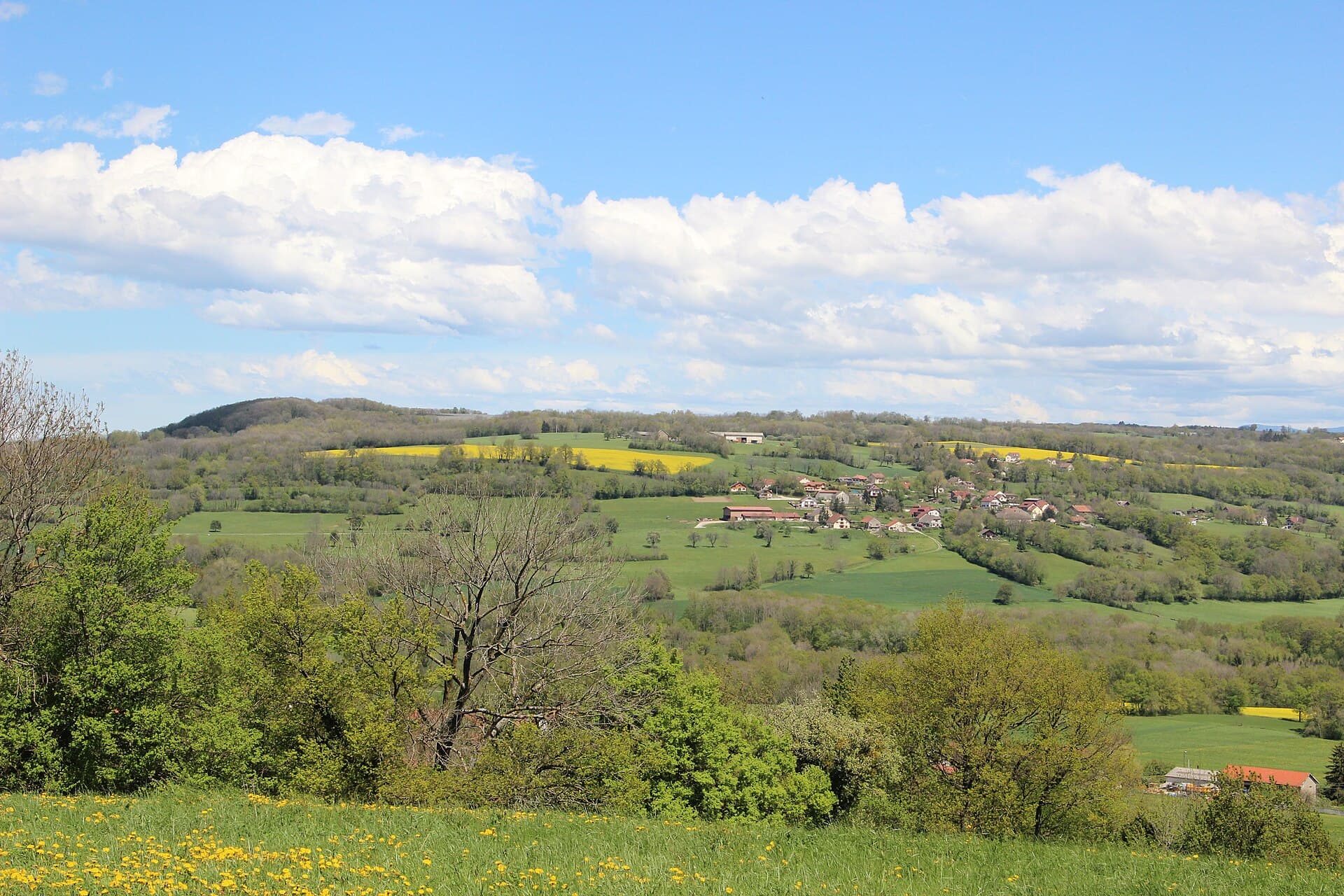 Scenic view near Cartagy - panoramio