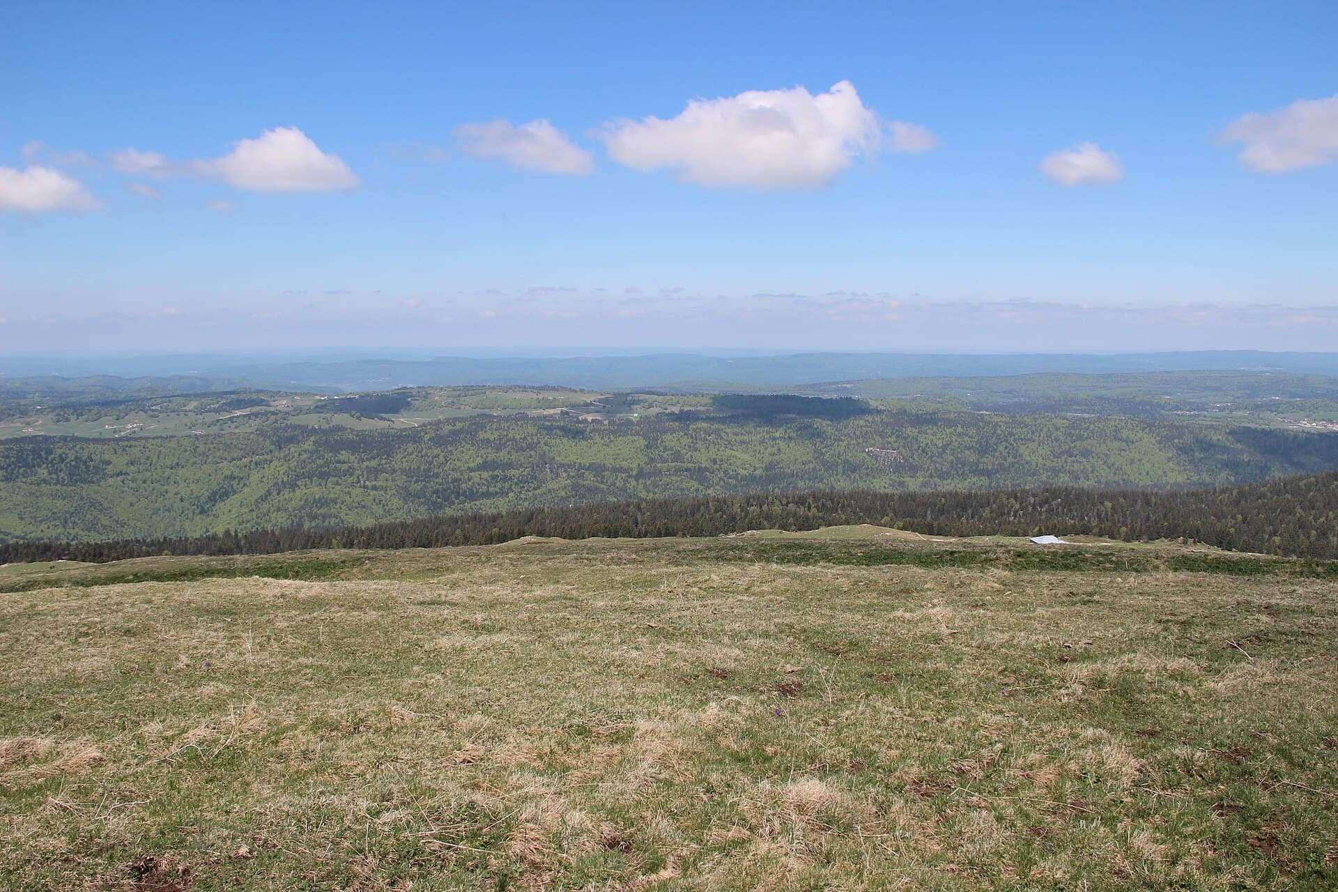 Scenic view from the Colomby de Gex - panoramio (14)