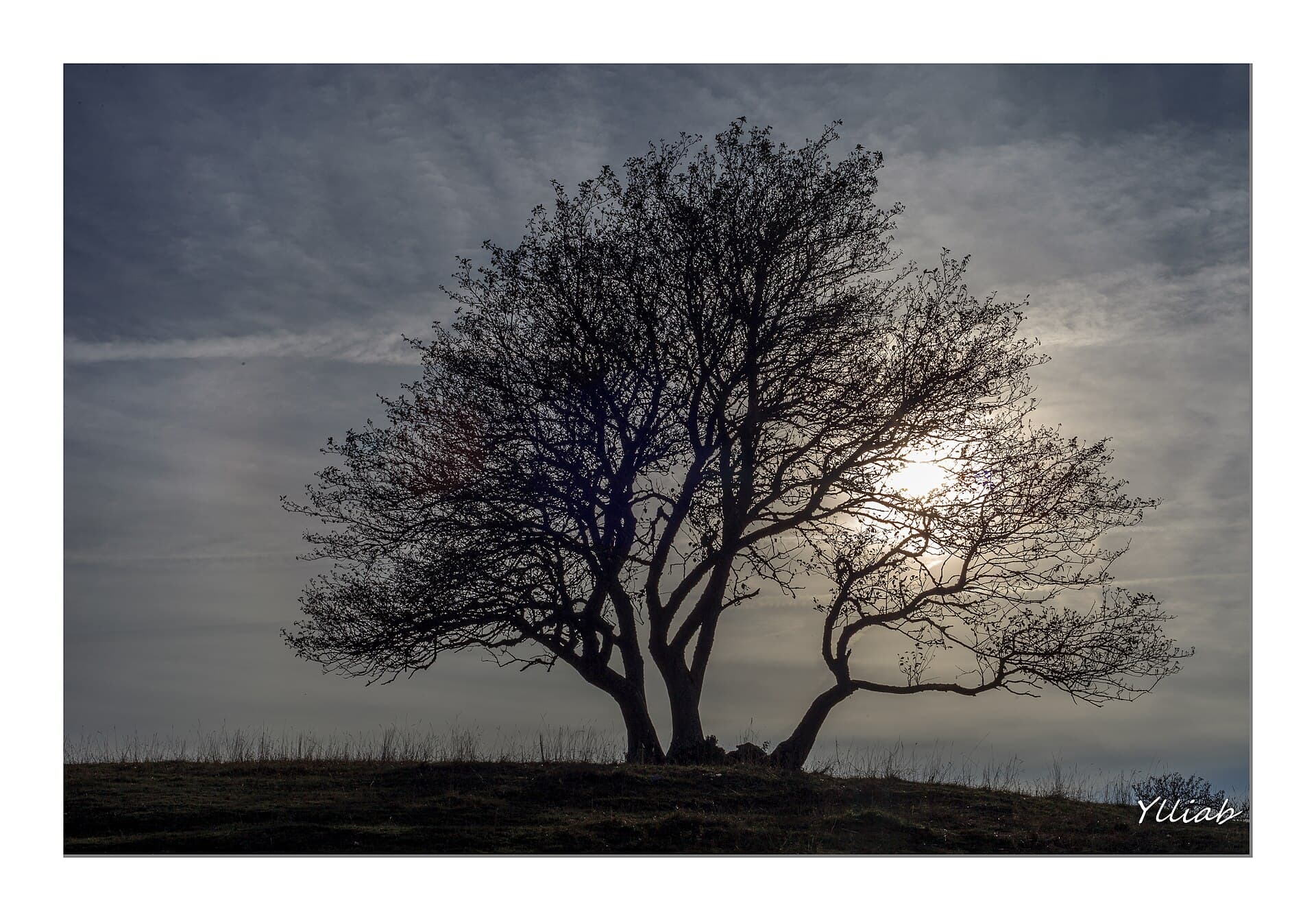 Derniers Rayons - Plateau du Retord (29771704710)