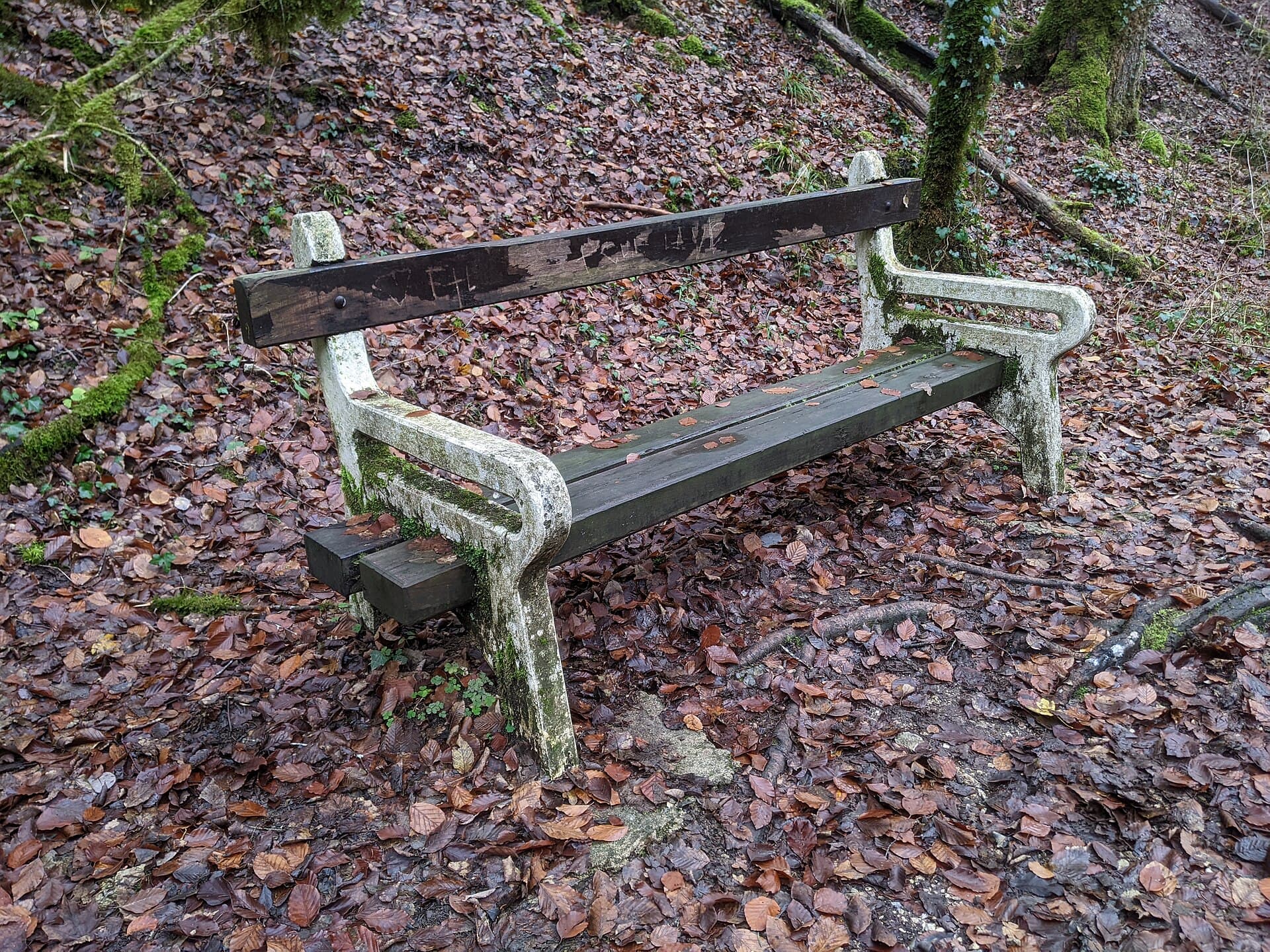 Saint-Claude - Cascade des Combes, banc (nov 2022)