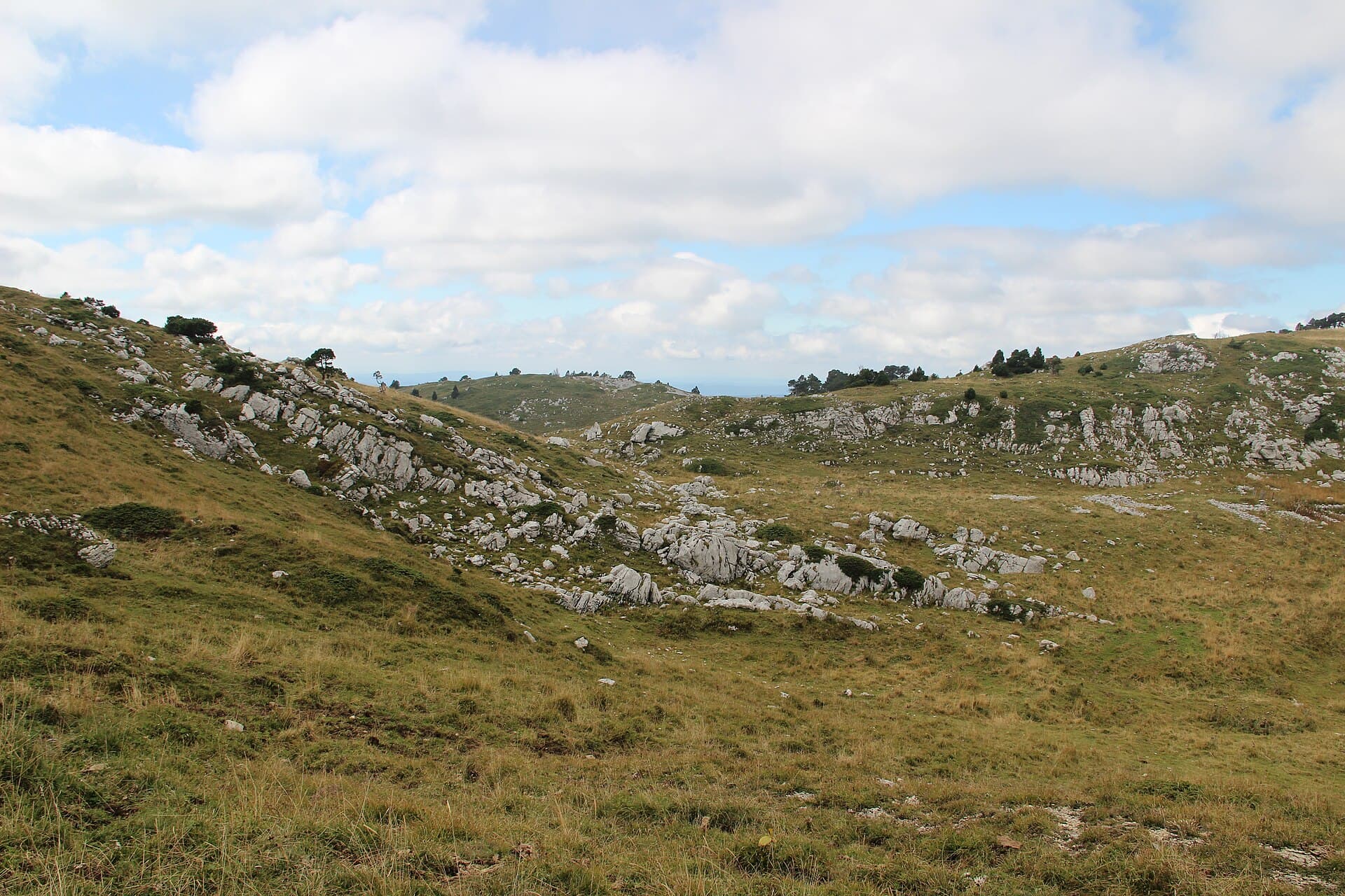 Alpage near Le Reculet - panoramio (2)