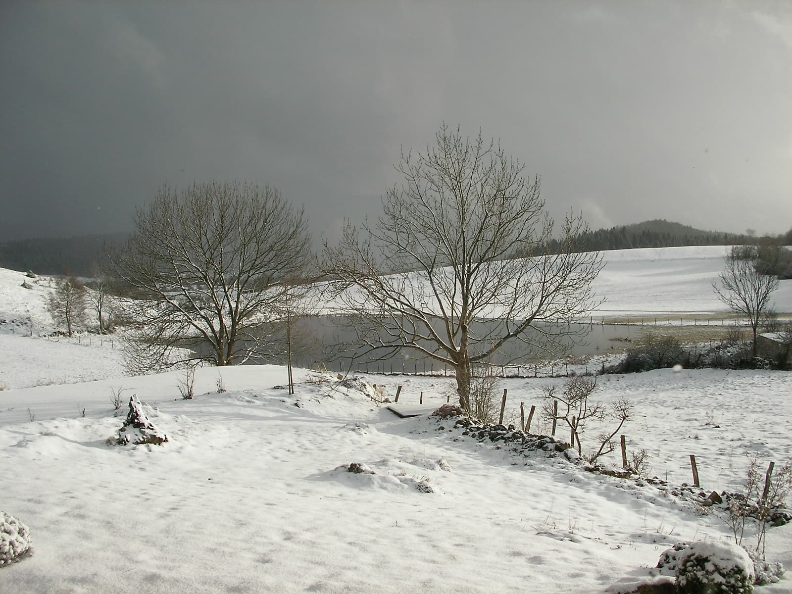 La gouille en hivers - panoramio